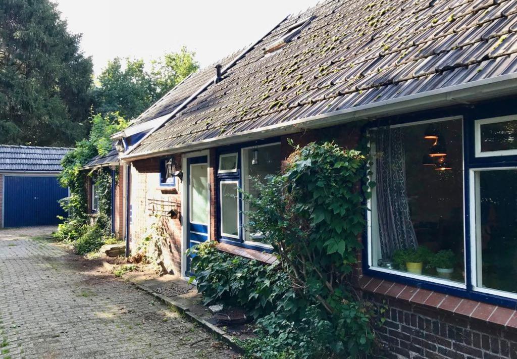 Johanna'S Oostwold  Extérieur photo